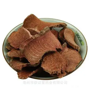 �в�ҩ���������� �����ҩ��硢�ƿ��ڳ���