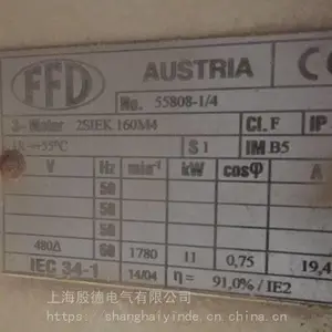 原装进口FFD电机