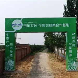 生态农业专用 频振式(镀锌杆)杀虫灯不锈钢灯杆,厂家直销,质优***