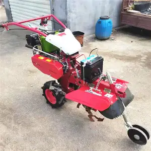 ���ʹ�������� ��԰������ �ַ���԰������