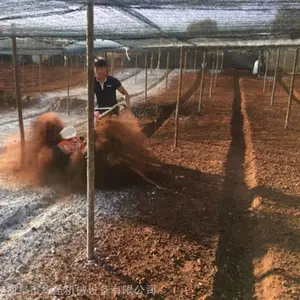 姜田打沟起垄机 种植管理农用开沟机 大棚膜覆土趟沟机