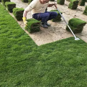 ���ݰ�����Ľ���ƺ ��·�̻���ƺ ��ʱ���ƺ