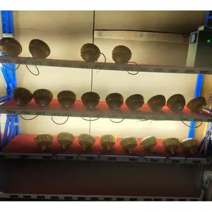 ������Բ�η��������led��վ�Ƴ���ֿ⳧��������