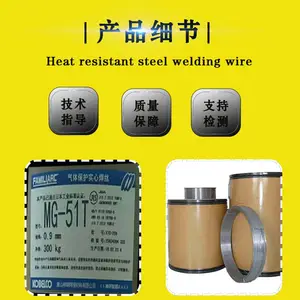 �ձ����Ƹ�NC-39 E309-16����ֵ纸����