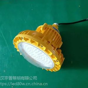 通道用LED防爆照明灯BLD230,化工车间用隔爆型LED防爆灯BLD230