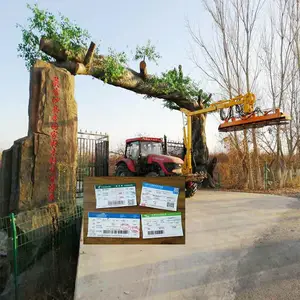 �ػʵ� �����޼��� �̻��Զ��޼��� ������֦��