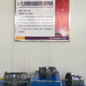 山东开元电机公司张凯变频电机YVF2-225S-4-37
