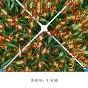 万深SC-MS型小麦亩穗数测量分析系统