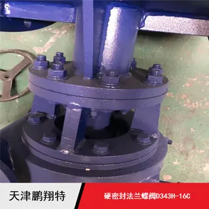 供应手动涡轮调节用硬密封法兰蝶阀D343H-16C