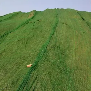 ��ɫ������ ���������� ��ɫ��ú��