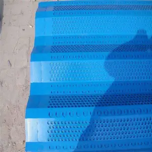 ���罵��� ��ɫ����� ��ɫ����ǽ