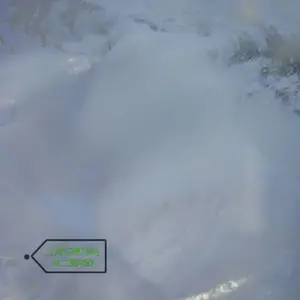 �㾫 �������׶������� �� 5nm 10nm 15nm �ߴ� �ּ���Ӧ
