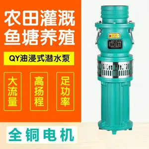 QY20-100/2-11���ñ�ע��ʽ�������ıò�������ˮ��Ǳˮ���ͽ���