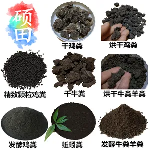 甘肃干牛粪有机肥厂家烘干金昌干牛粪天水发酵牛屎百亩晾晒场供应哪里有卖