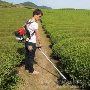 ���ƹ��ڳ��������ĳ�̳��ݻ� ���ʽɨĹ���ĸ�ݻ�-�ʺ�����������ʽ������