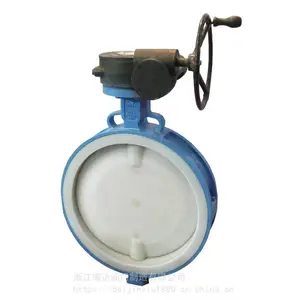 ��������ֳķ��������� ��������D641F4-16P DN200 �������ڵ���
