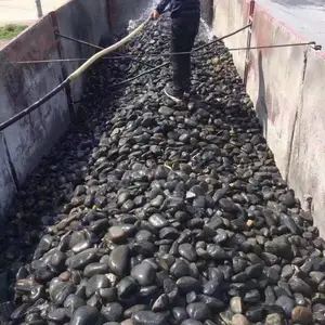 榆林绿化铺地鹅卵石多少钱一吨