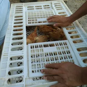 淘汰鸭筐 拉鸭筐 装鸡笼子 成品鸭塑料筐 鹅筐