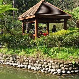 景观石多少钱-景观石-认准和谐景观石(查看)