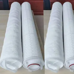 博莱特 水处理滤芯折叠滤芯大通量滤芯保安过滤器滤芯