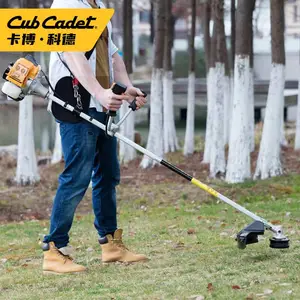 �����Ƶ�CubCadet��ݻ���ݻ��������ݻ�԰�ֻ�е�ޱ߻�