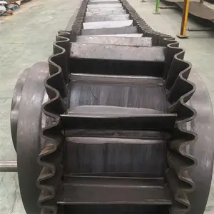 ����ǲ�״������ ��������ʹ� ����ȹ�߸��������
