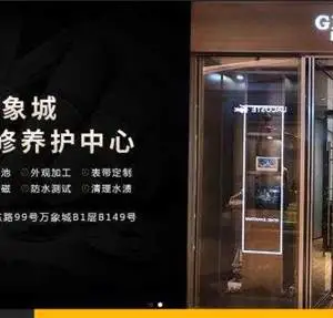 浪琴厦门龙岩泉州漳州-手表进水处理-88
