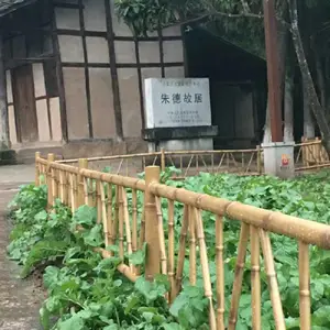 ���������� ������ʳ� ��п������ �Ƿ���������