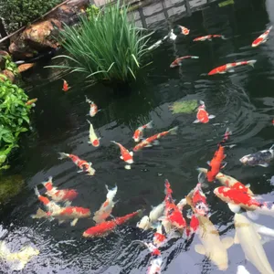 �������⾰��ˮѭ������רҵ��ƹ�˾