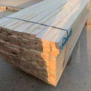 ʢ���� ���ֹ��ľ�� �������ط�ľ ֧�ֶ��� �������