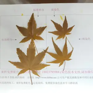 树叶染料
