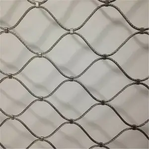 ��¡��������� ͥԺ��׹������� �������������