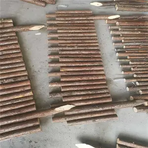 ��������դ�������������ũ�廤����ȫ