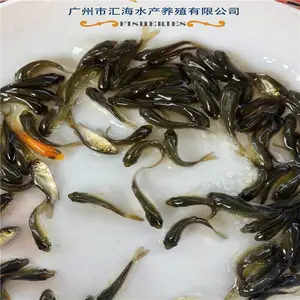 ����������س��ڹ�Ӧ�̻������� �ɻ������� ������ �������� �ɰ������� ������ �ɻ�***