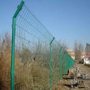 ���������߿����� ��������դ�� ˶��˫��˿������