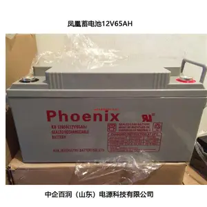 phoenix����KB122000 UPSר�� ��˵�Դ12V200AH ������ܵ�ƿ