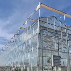巨型温室建设-北京中农金旺技术公司-江苏巨型温室