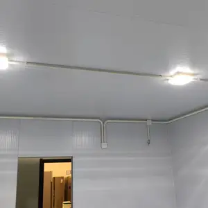 ��������ư�װ����ҽҩ�в�ҩ��ؿ��䶳��