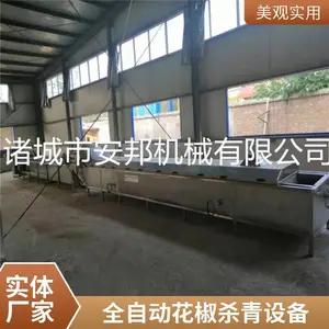 菠菜漂烫清洗流水线 大型叶类菜加工设备 土豆玉米农产品清洗机