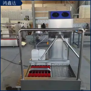 ����ϴѥ�׳��� �ֶ�ϴѥ�ع�Ӧ ʳƷ��ˮЬ��ϴ�豸