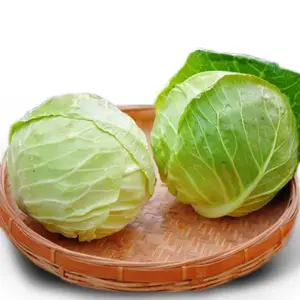 西安给餐厅送菜的公司,灞桥区工厂蔬菜配送公司有哪些