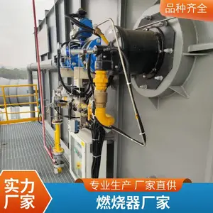 冶炼炉天然气燃烧器 熔铝炉燃烧器 化铁炉纯氧燃烧系统 岱鼎