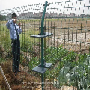 蔬菜大棚围栏网 场区护栏网 铁丝围栏网供应厂家