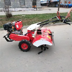 ���Ͳ�������С���ڹ��� ����ˮ������������