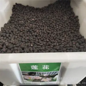 �����²�ˮ��ֲ������ �������� ��ѿ*** �۸���� ***