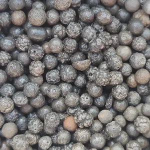 常州保温陶粒 上海森卡环保科技供应