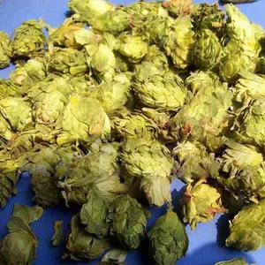 新疆啤酒花烘干设备 啤酒花烘干机