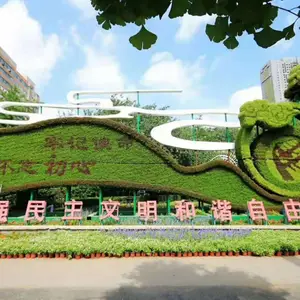 �����人���ڿ��ֵĵ��ܸ�����ɫ������ɫ���޵Ľ������
