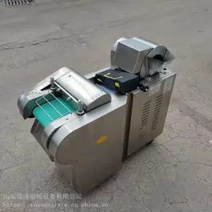 �в˻� �����������˿��Ƭ�ж��� �綯������в˻�