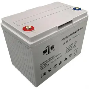 ˫������6-GFM-24 ����Ǧ����ά��12V24AH��������Ӧ����Դר��